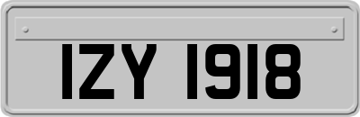 IZY1918