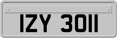 IZY3011