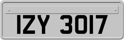 IZY3017