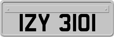 IZY3101