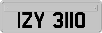 IZY3110