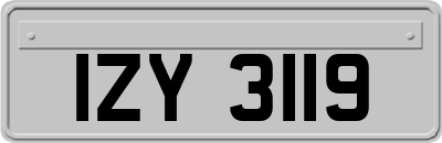 IZY3119