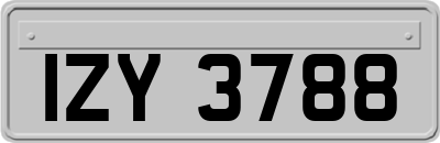 IZY3788