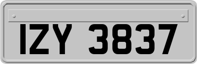 IZY3837