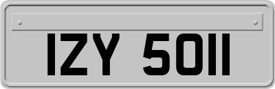 IZY5011