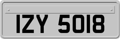 IZY5018