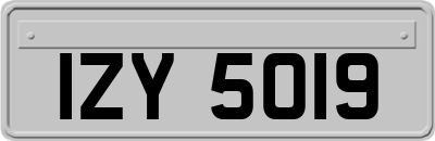 IZY5019