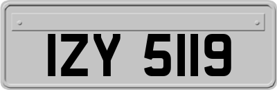 IZY5119