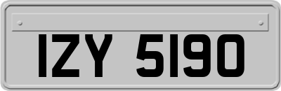 IZY5190