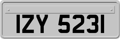 IZY5231