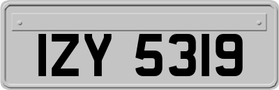IZY5319