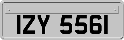 IZY5561