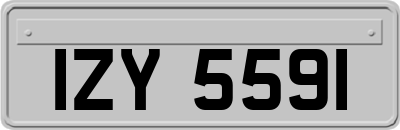 IZY5591