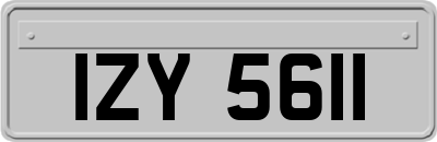 IZY5611