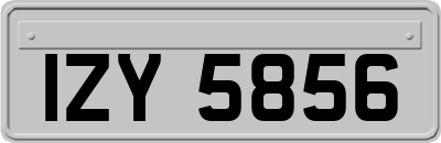 IZY5856