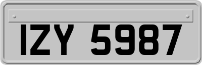 IZY5987