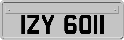 IZY6011