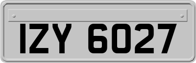 IZY6027