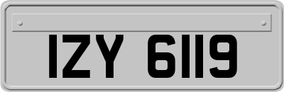 IZY6119