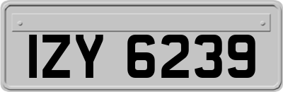 IZY6239