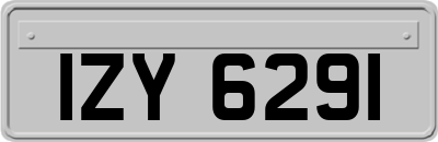 IZY6291
