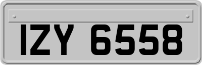 IZY6558