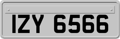 IZY6566