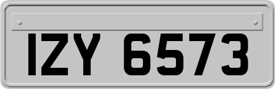 IZY6573