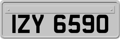 IZY6590