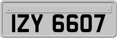 IZY6607