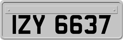 IZY6637