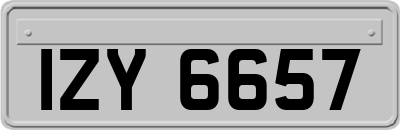 IZY6657