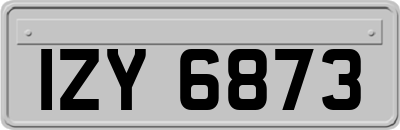 IZY6873