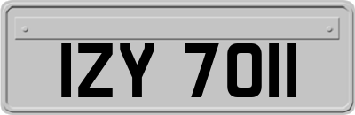 IZY7011