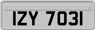 IZY7031