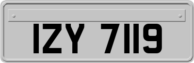 IZY7119