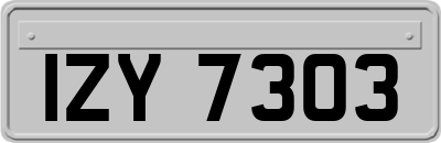 IZY7303
