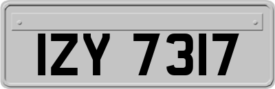 IZY7317