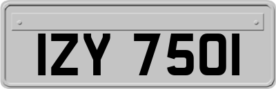 IZY7501