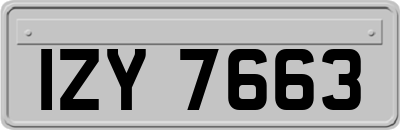 IZY7663
