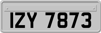 IZY7873