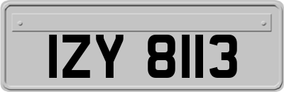 IZY8113