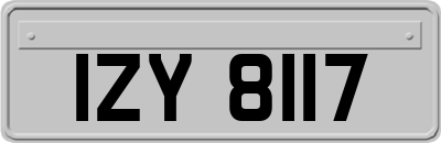IZY8117