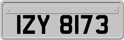 IZY8173