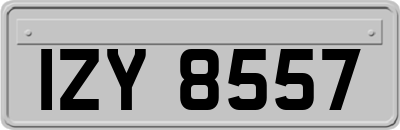 IZY8557