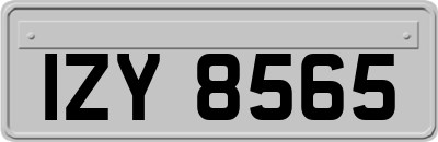IZY8565