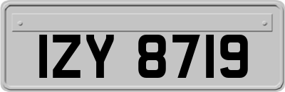 IZY8719