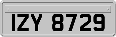 IZY8729