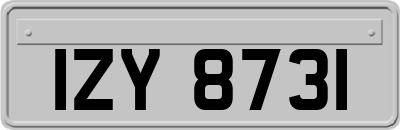 IZY8731