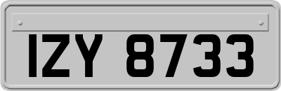 IZY8733